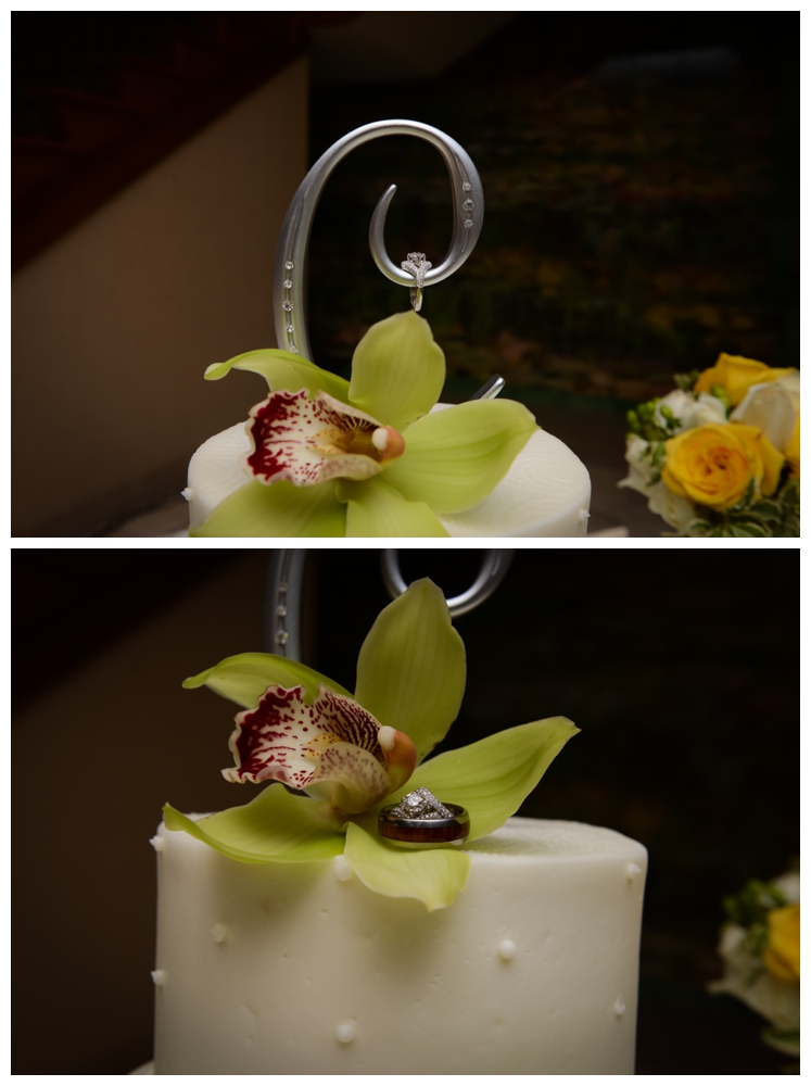 crouse wedding silver orchid photography_0096.jpg