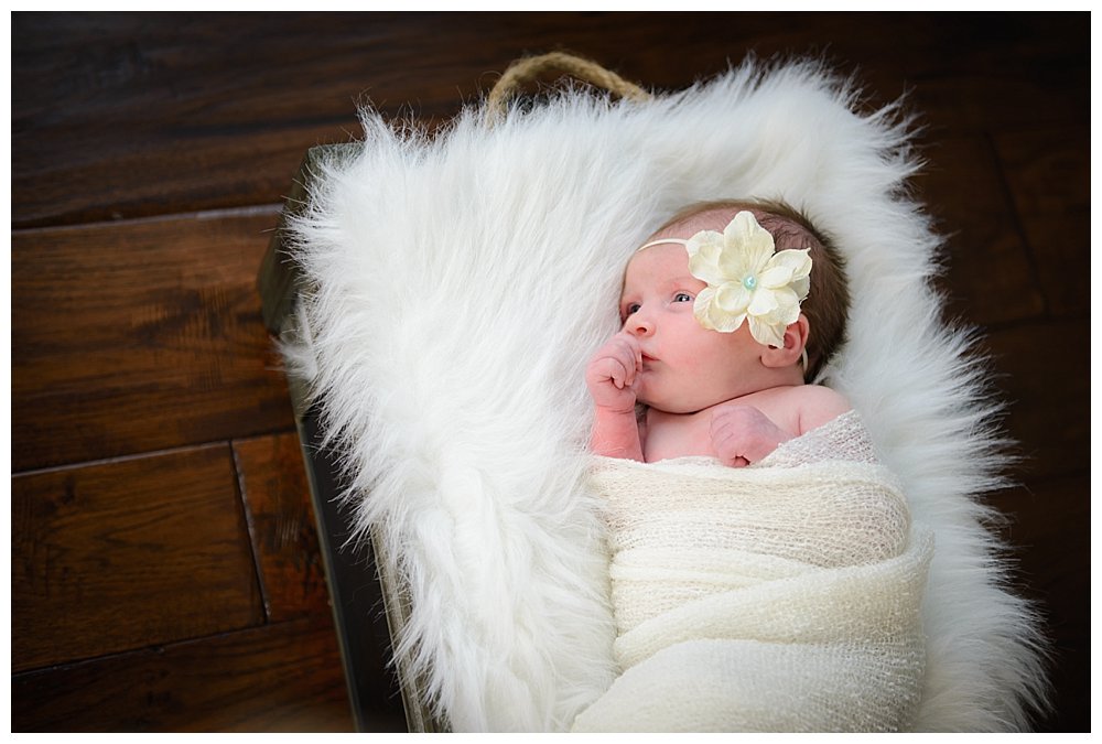 silver orchid photography, newborn, newborn portrait, baby girl, studio, Perkiomenville, PA