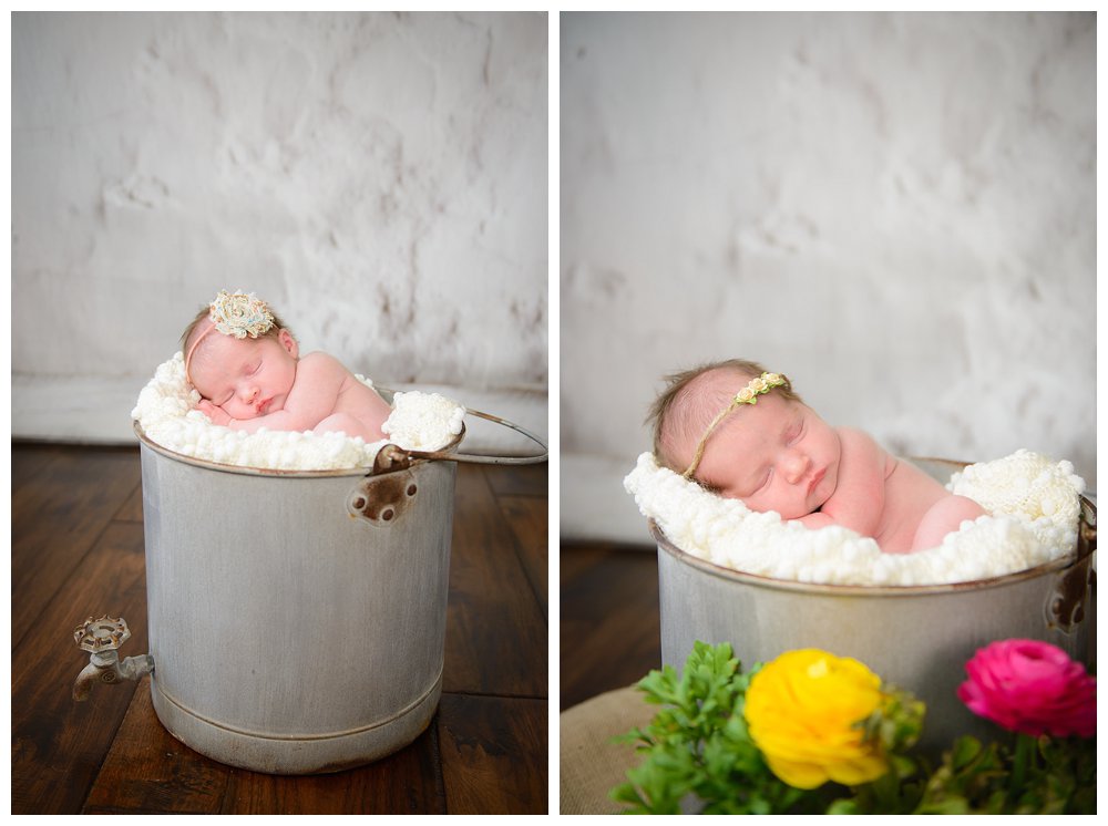 silver orchid photography, newborn, newborn portrait, baby girl, studio, Perkiomenville, PA
