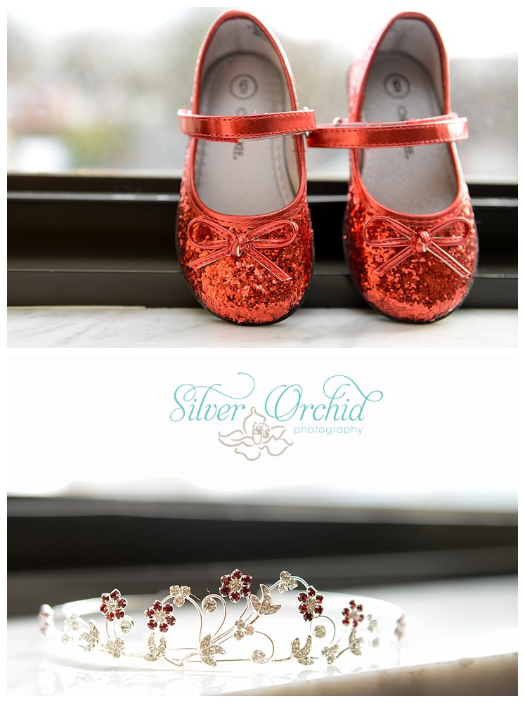 Silver Orchid Photography, Wedding, Winter Wedding, Hotel Bethlehem, Bethlehem. PA