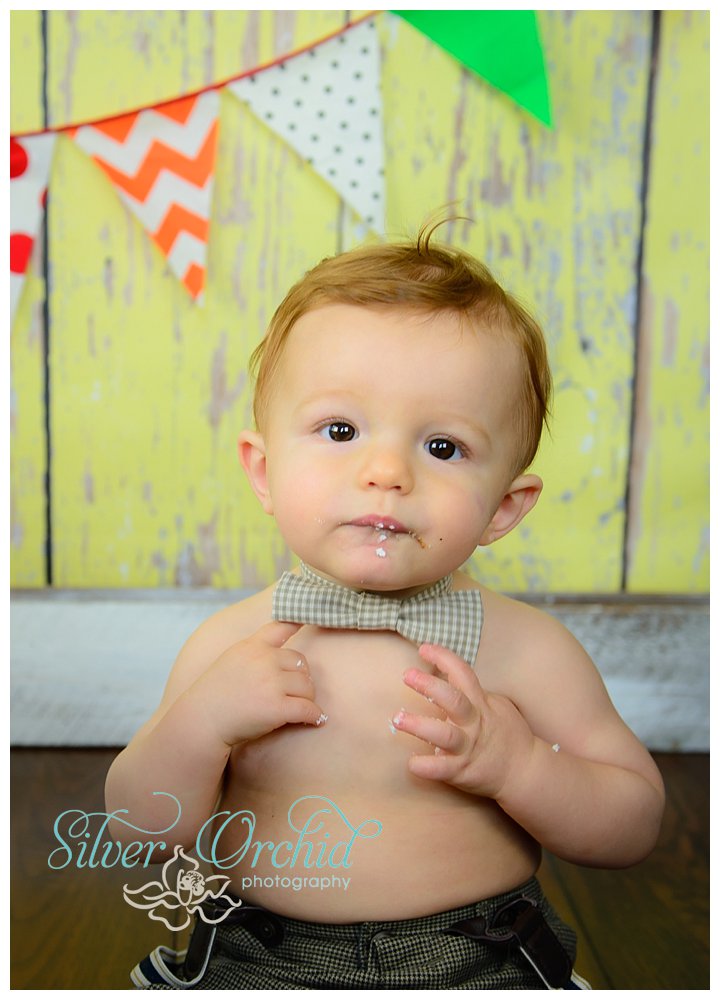 silver orchid photography, cake smash, first birthday, child photography