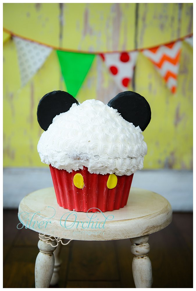 silver orchid photography, cake smash, first birthday, child photography