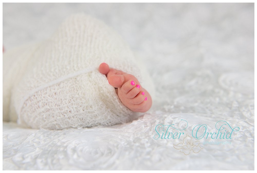 silver orchid photography, newborn photography, rhoa triplets