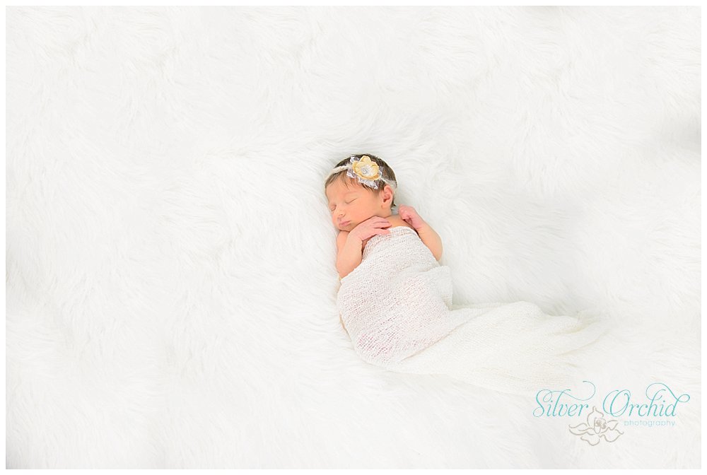 © Silver Orchid Photography, newborn silverorchidphotography.com_0003.jpg