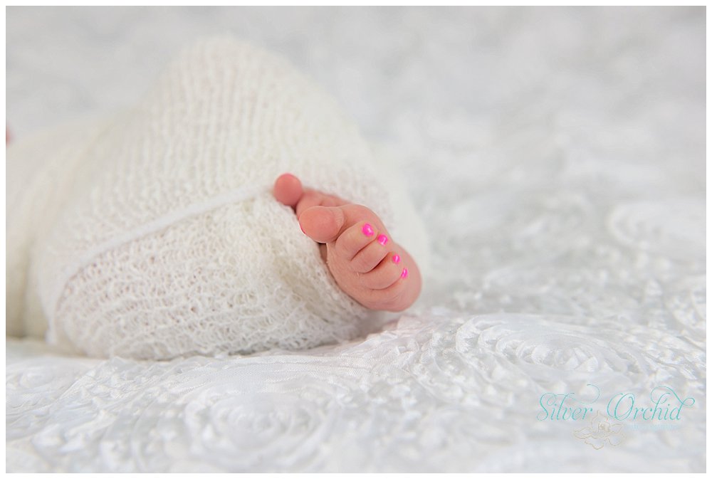© Silver Orchid Photography, newborn silverorchidphotography.com_0004.jpg