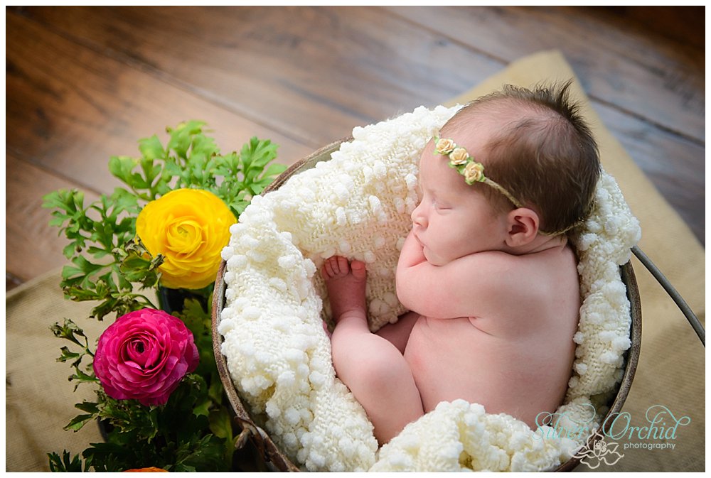 © Silver Orchid Photography, newborn silverorchidphotography.com_0007.jpg