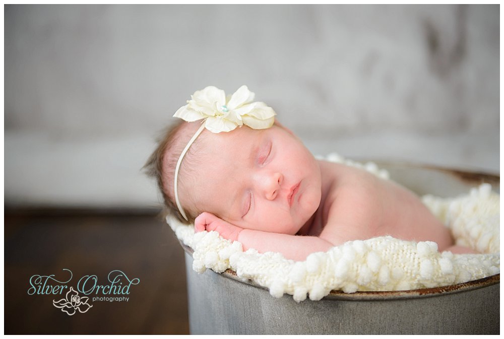 © Silver Orchid Photography, newborn silverorchidphotography.com_0008.jpg