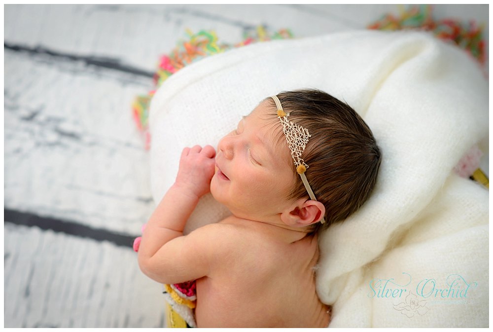 © Silver Orchid Photography, newborn silverorchidphotography.com_0015.jpg