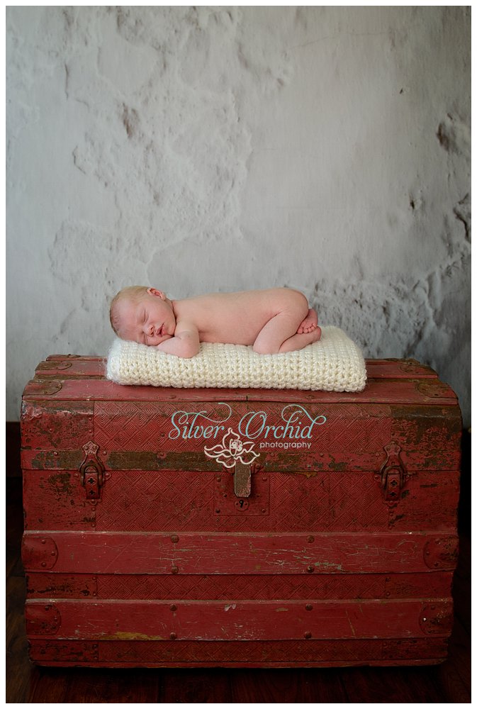 © Silver Orchid Photography, newborn silverorchidphotography.com_0017.jpg