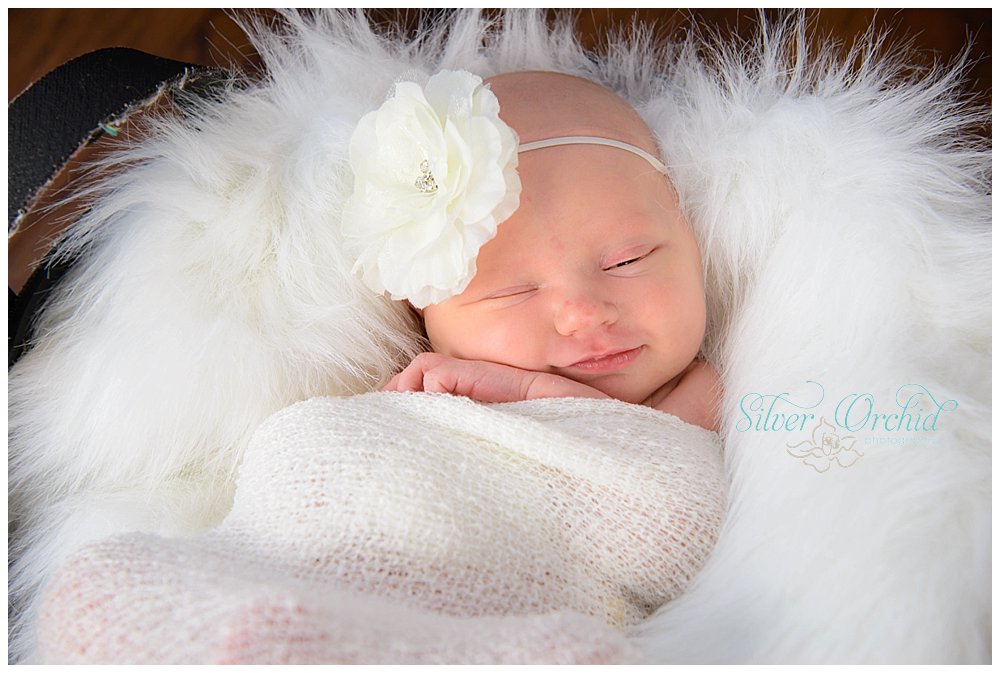 © Silver Orchid Photography, newborn silverorchidphotography.com_0036.jpg
