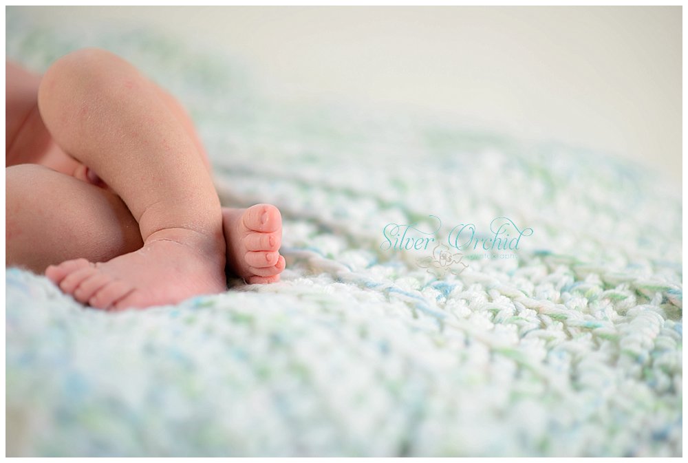 © Silver Orchid Photography, newborn silverorchidphotography.com_0041.jpg