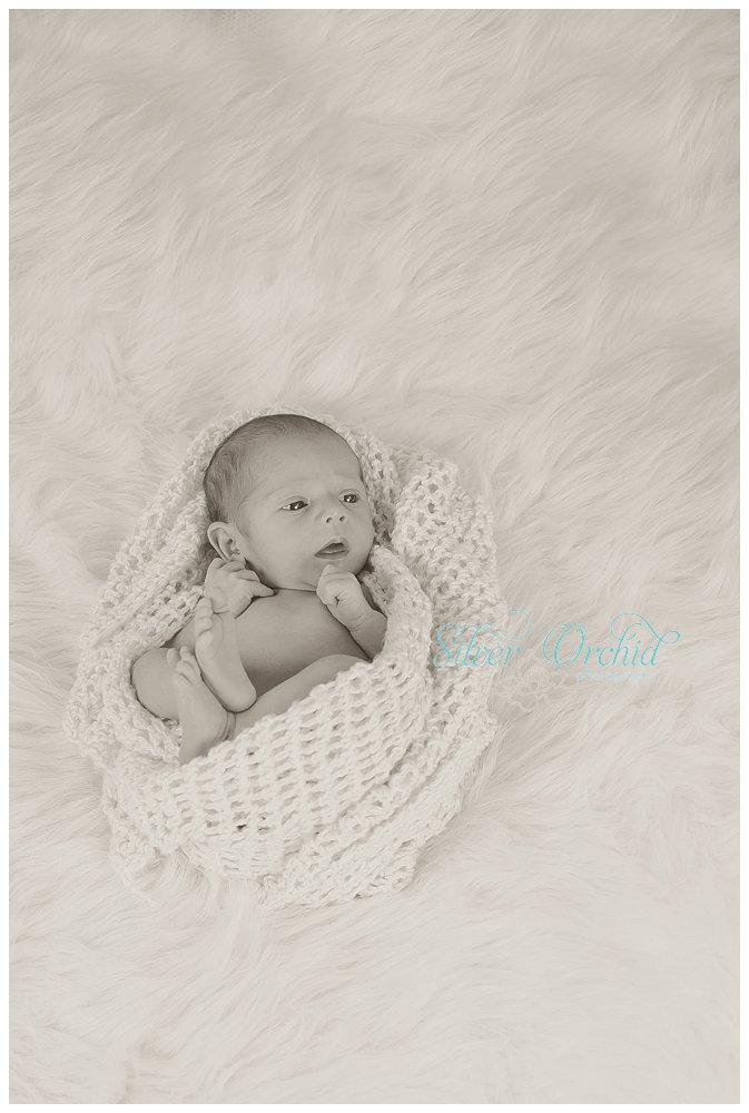 © Silver Orchid Photography, newborn silverorchidphotography.com_0046.jpg