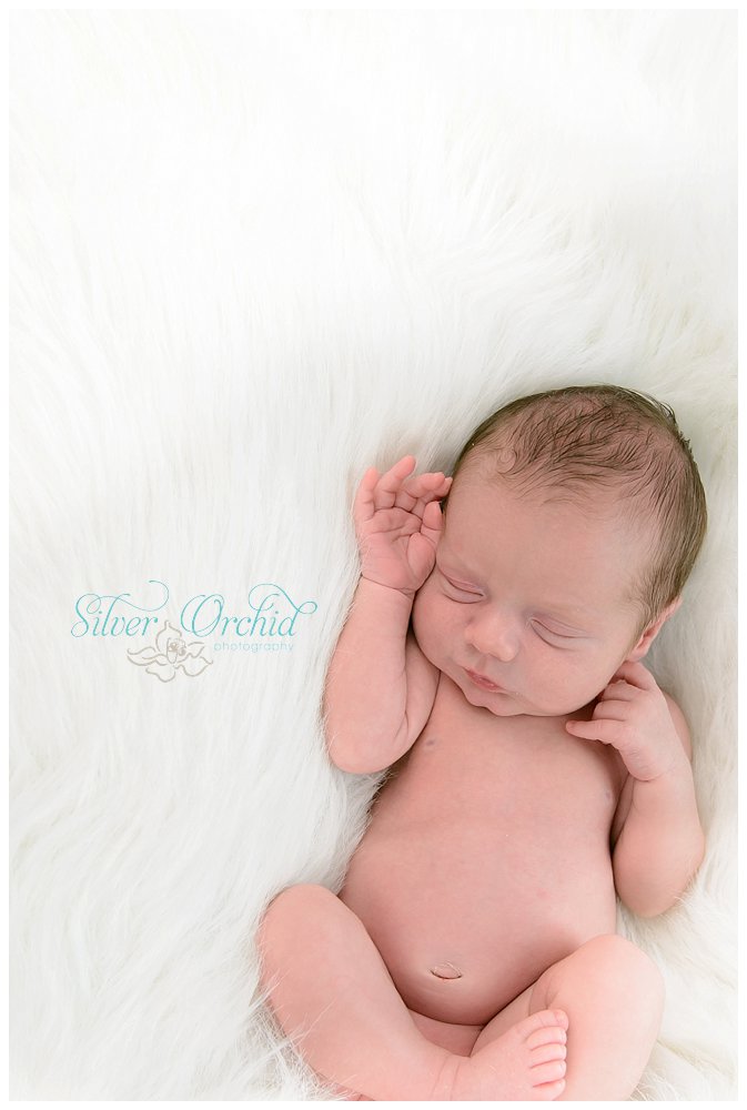 © Silver Orchid Photography, newborn silverorchidphotography.com_0047.jpg