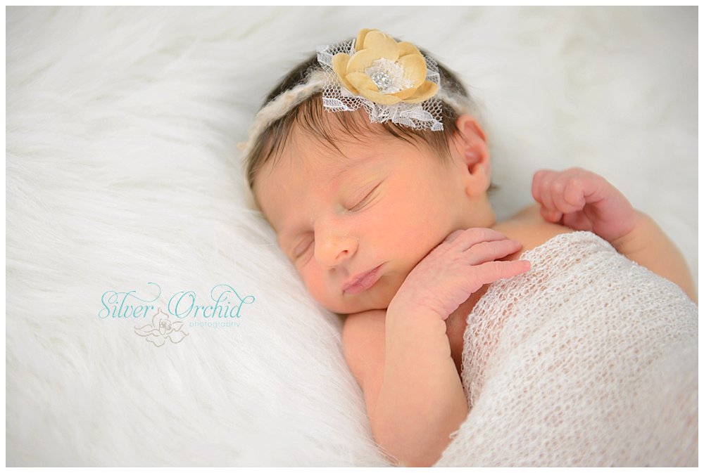 © Silver Orchid Photography, newborn silverorchidphotography.com_0048.jpg