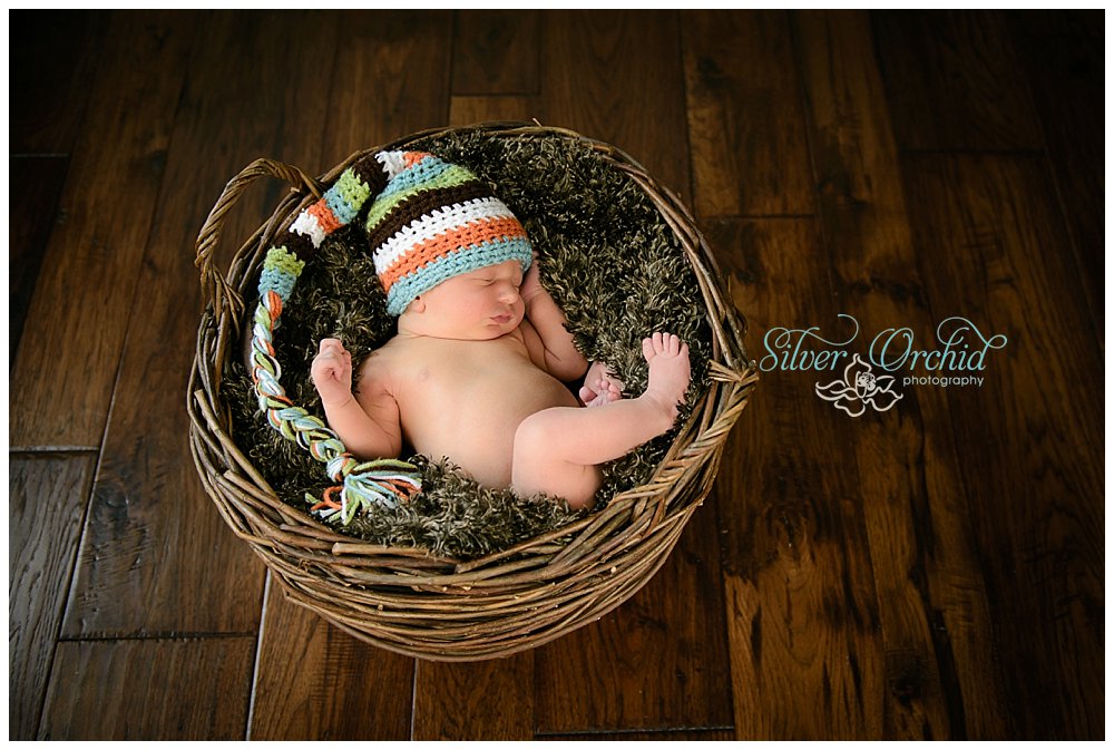 © Silver Orchid Photography, newborn silverorchidphotography.com_0049.jpg