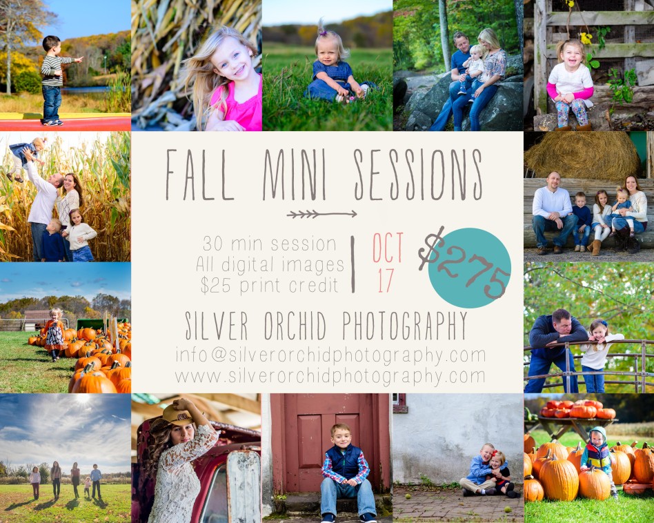 Silver Orchid Photography fall Mini sessions pumpkin farm hayrides