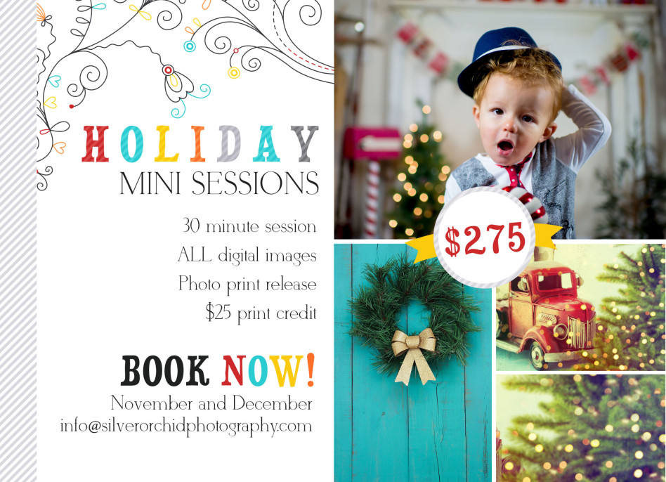 Silver Orchid Photography holiday mini sessions christmas winter tree farm santa 