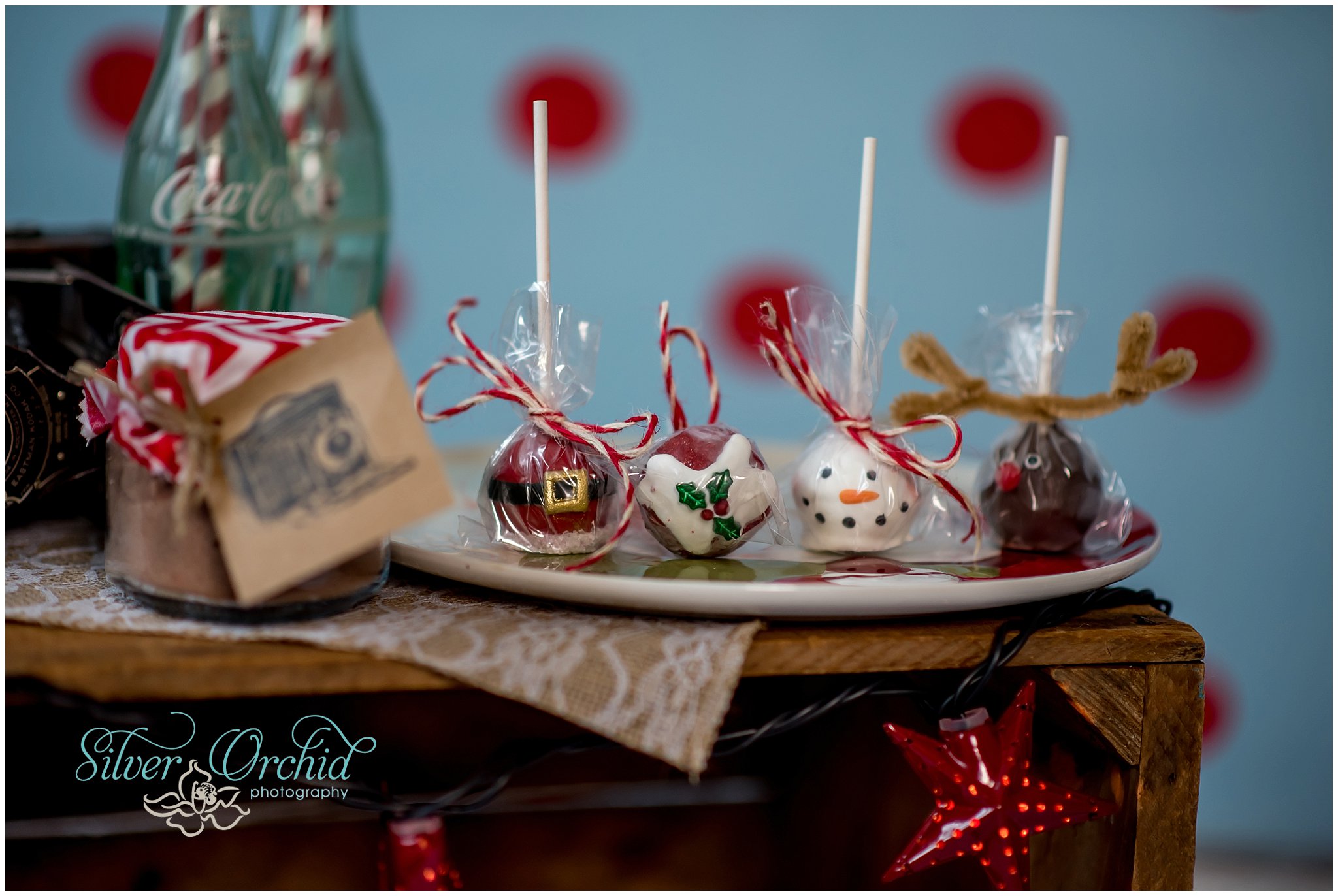 ©Silver Orchid Photography_holiday_silverorchidphotography.com_0017.jpg
