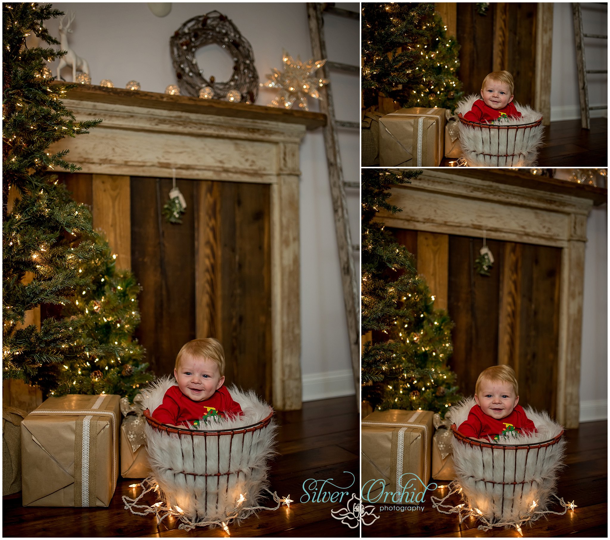 ©Silver Orchid Photography_holiday_silverorchidphotography.com_0026.jpg