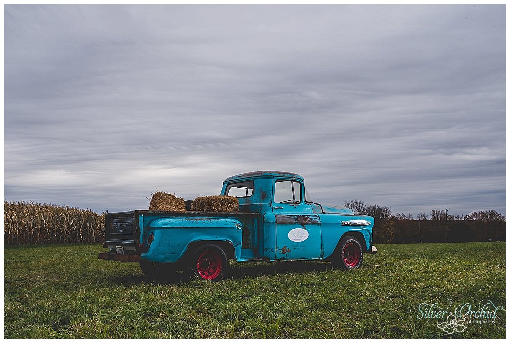 ©Silver Orchid Photography_Apache1959TruckPhotography_0019.jpg