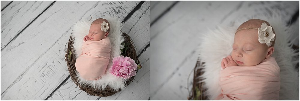 Silver Orchid Photography, Newborn Photography, Family Photography