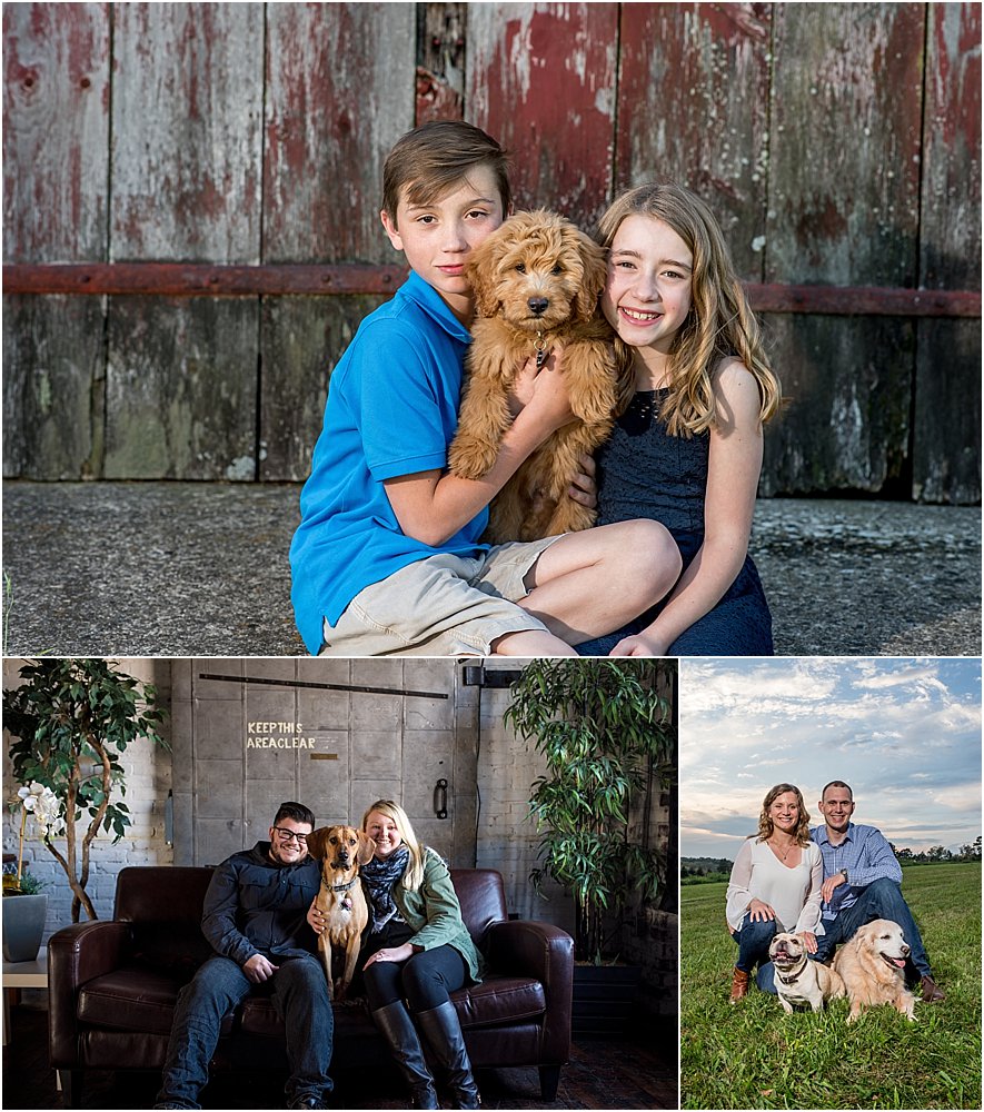 Silver Orchid Photography, Silver Orchid Photography Portraits, Portrait sessions, Family sessions, Newborn sessions, Engagement sessions, Puppies, Dogs are family too