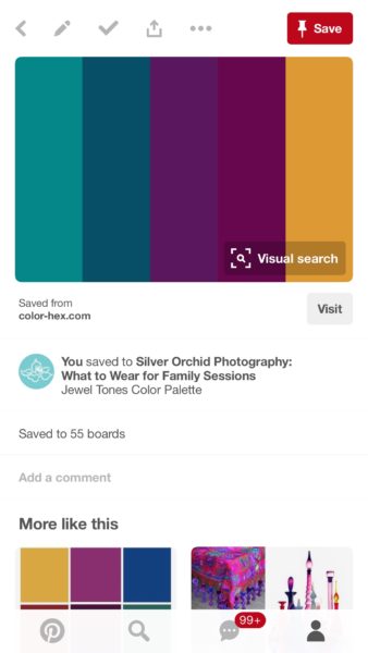 silver orchid photographer, color pallet, styling, family shoot