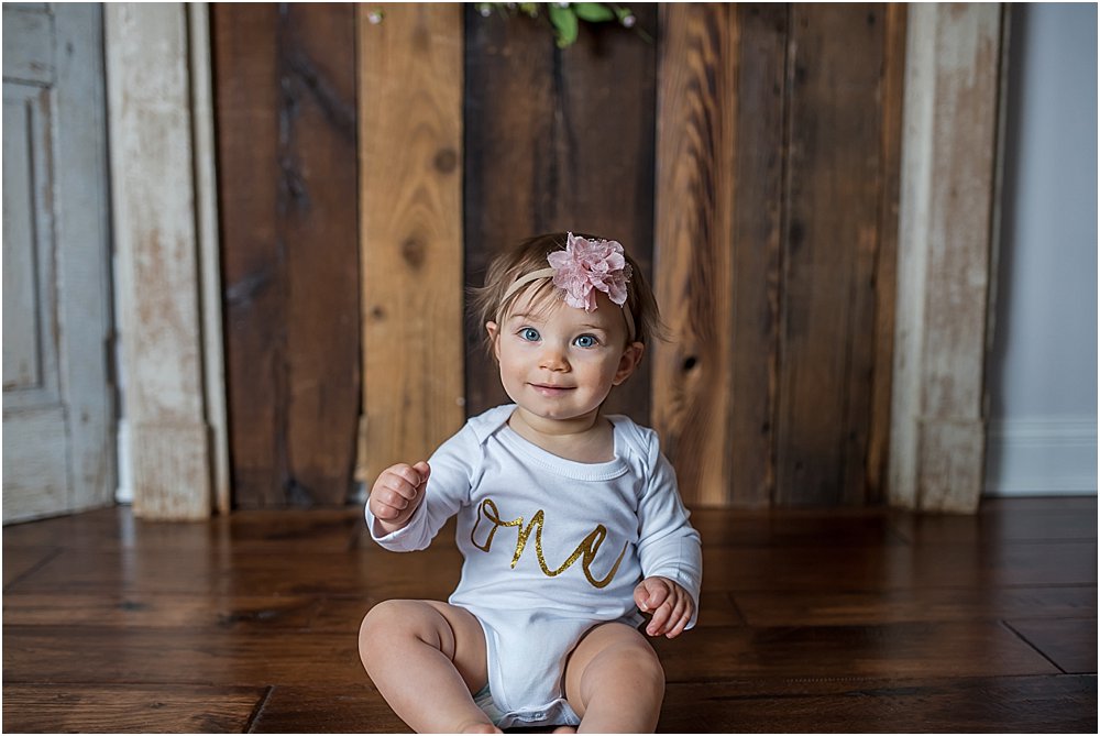 Silver Orchid Photography, Silver Orchid Photography Portraits, Perkiomenville, Montgomery County, PA, Cake Smash, First Birthday, Pink and Gold, Balloons, Ladybug, Minimalist