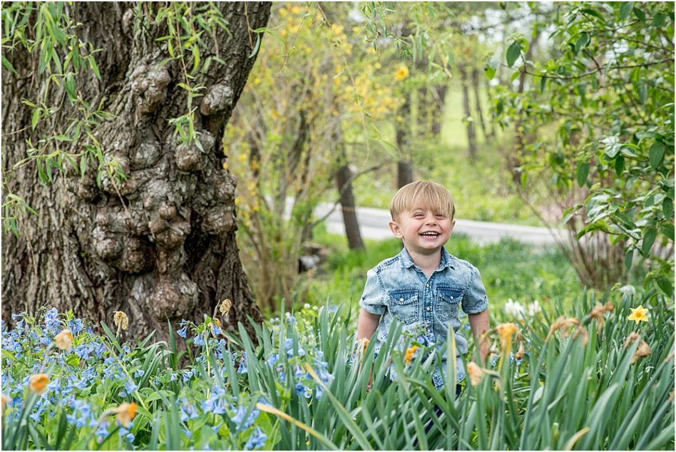 Silver Orchid Photography, Silver Orchid Photography Portraits, PA, Spring Bloom Sessions, Florals, Spring Bloom, Family Session, Springtime