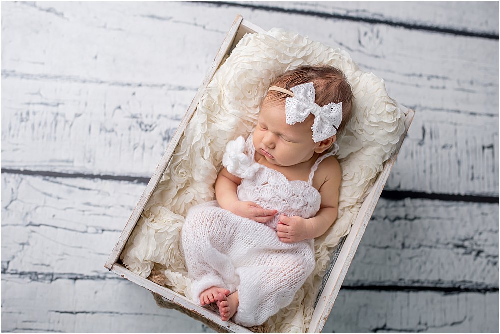 Silver Orchid Photography, Silver Orchid Photography Portraits, Southeastern PA, PA, Newborn Session, Studio Session, Baby Girl, Baby Portraits, Infant Pictures