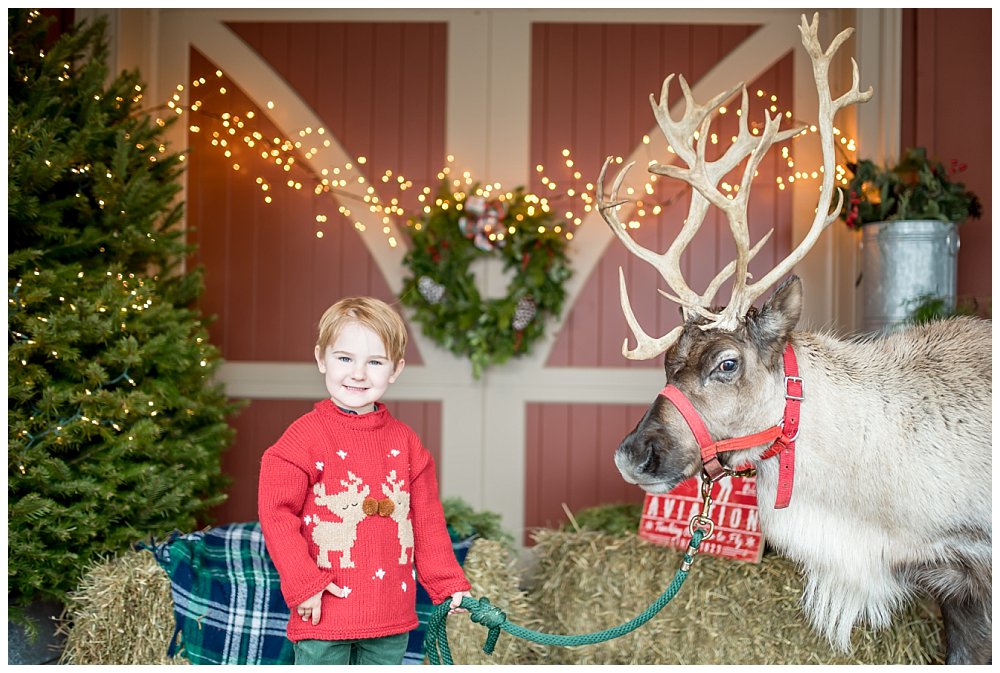 Santa’s Reindeer at Cool Yule