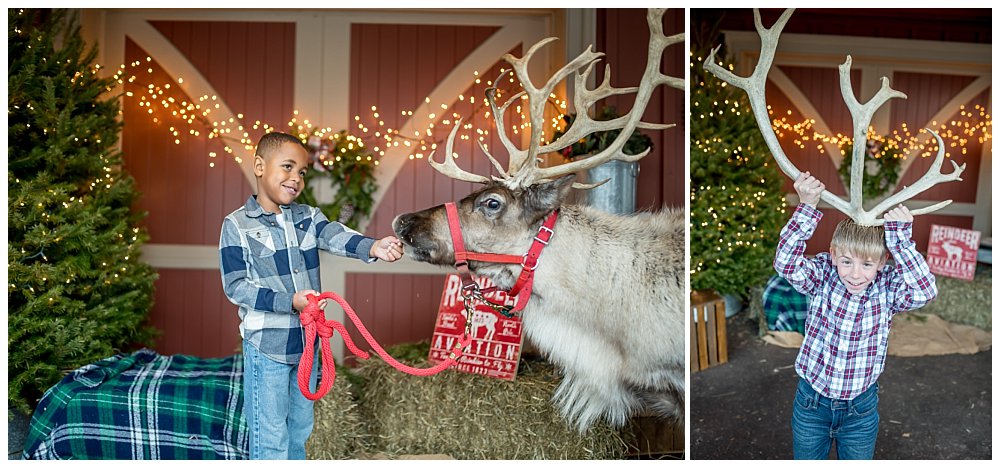 Santa’s Reindeer at Cool Yule