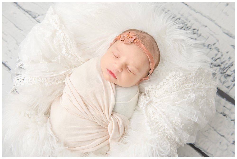 Silver Orchid Photography, Silver Orchid Portraits, Portrait Photographer, PA Portrait Photographer, Newborn, Newborn Session, Newborn Photography, Newborn Photographer, Studio Session
