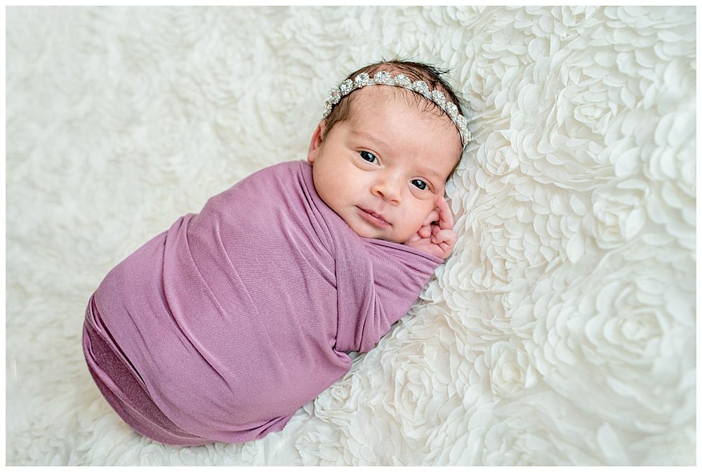 Silver Orchid Photography, Silver Orchid Portraits, Newborn Session, Newborn Photographer, Newborn Photography, Baby Girl, Studio Session