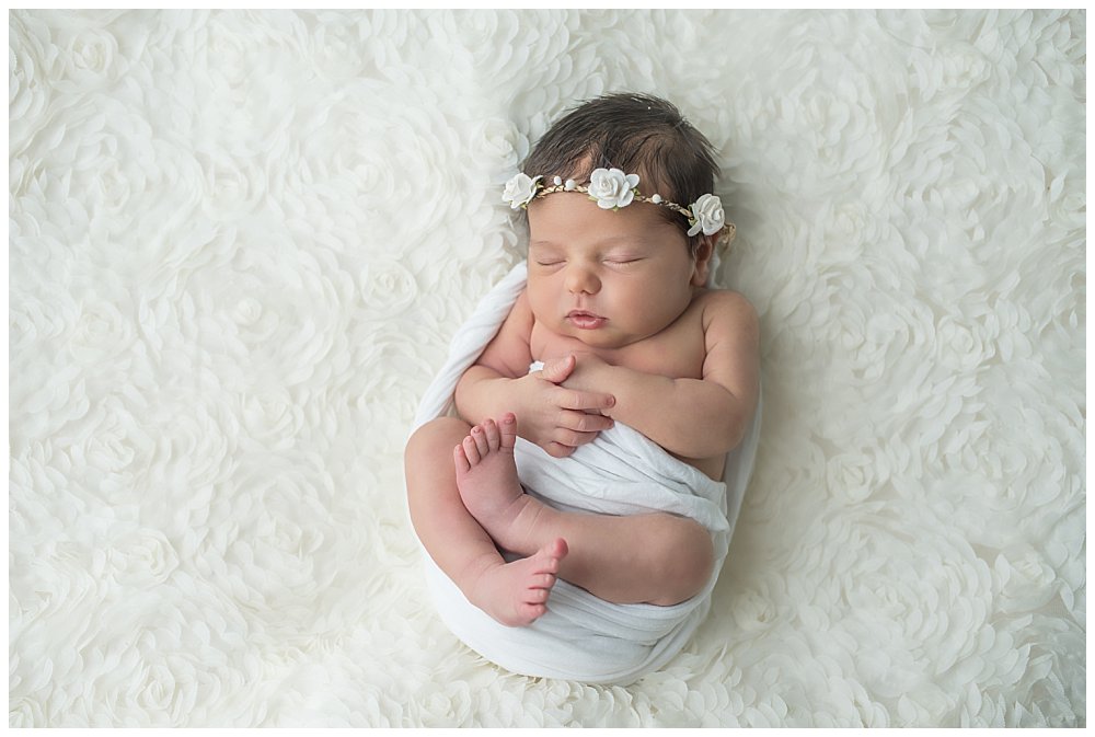Silver Orchid Photography, Silver Orchid Portraits, Newborn Photography, Newborn Session, Baby Girl, Studio Session