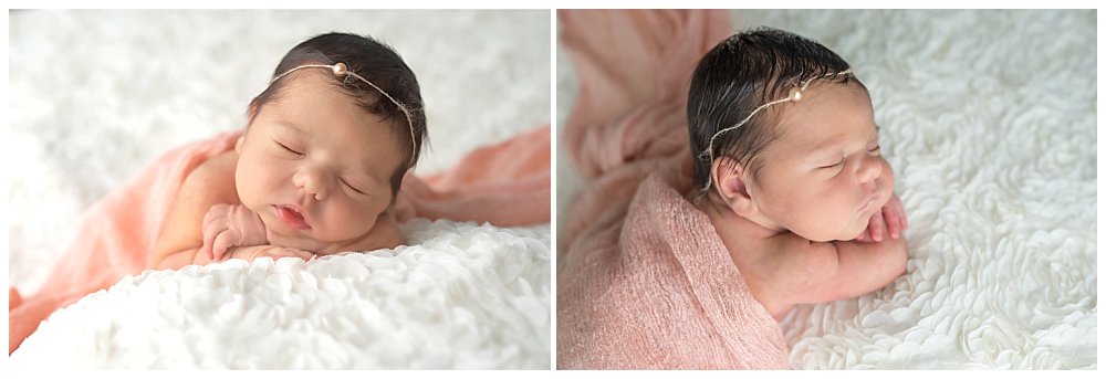 Silver Orchid Photography, Silver Orchid Portraits, Newborn Photography, Newborn Session, Baby Girl, Studio Session