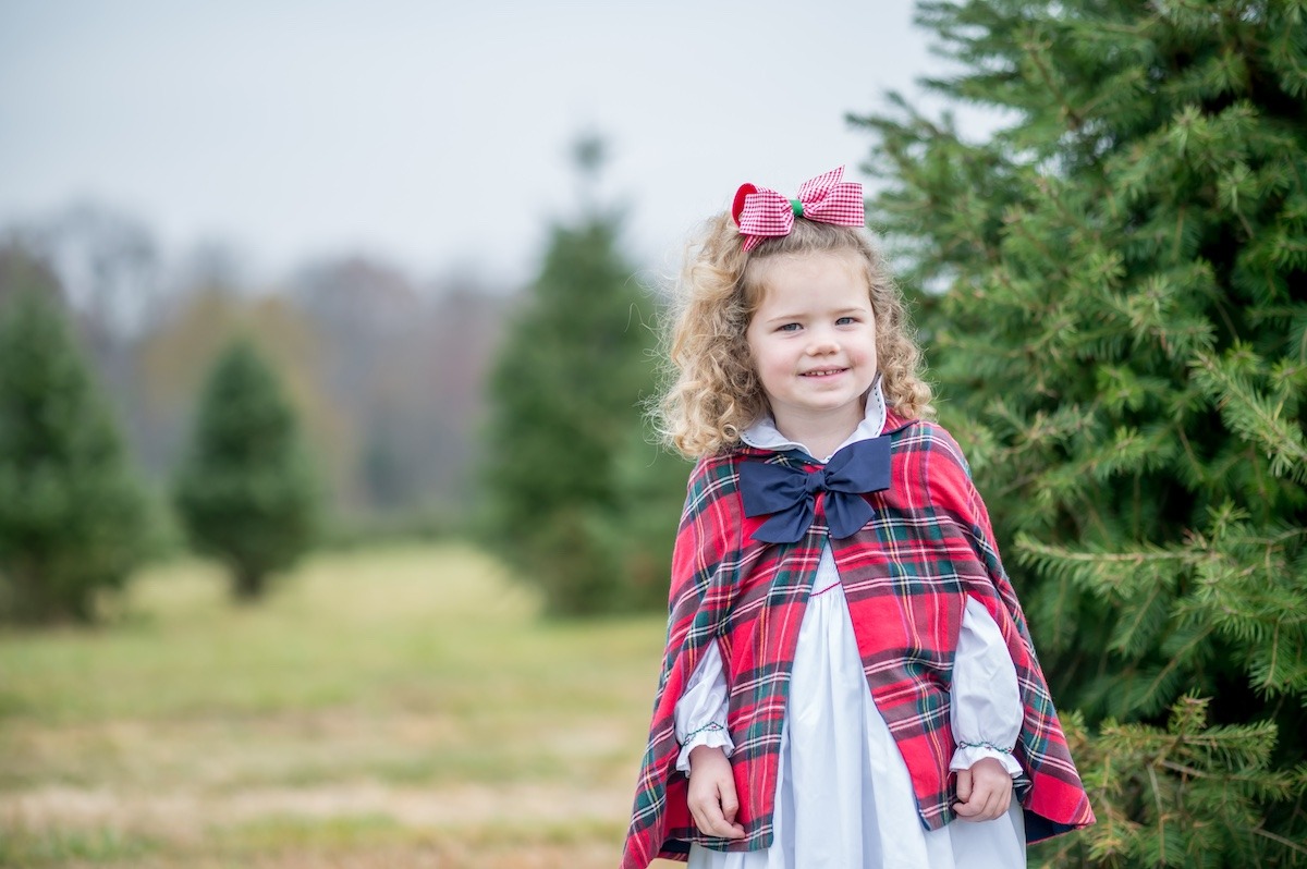 Tree farm, Christmas Tree farm, Tree Farm Minis